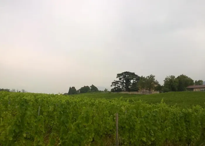 Chateau La Violette