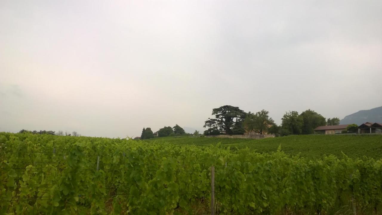 Chateau La Violette Les Marches