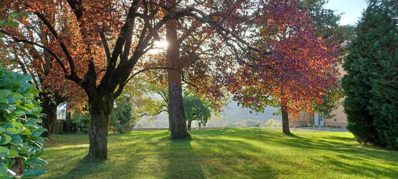 Chateau La Violette Bed and breakfast *